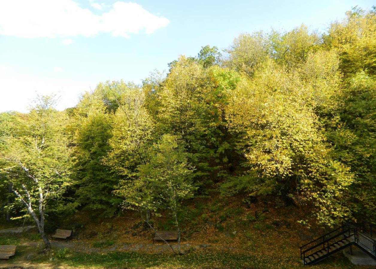 Tsaghkahovit Hotel Tsaghkadzor Dış mekan fotoğraf
