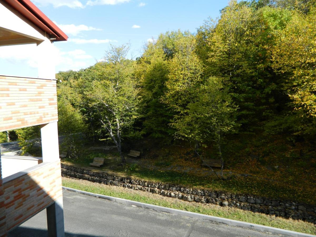Tsaghkahovit Hotel Tsaghkadzor Dış mekan fotoğraf